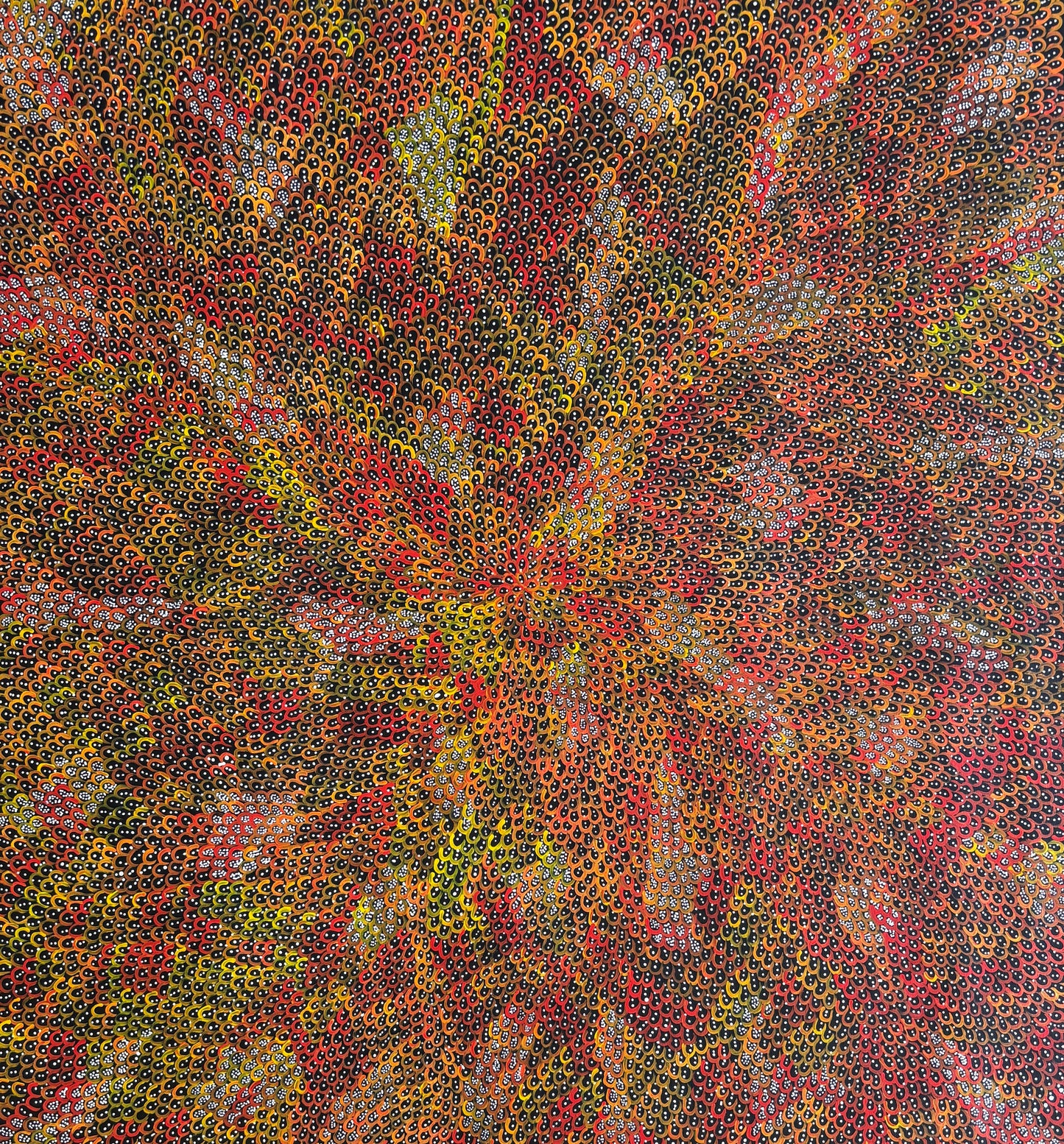 Yam Seeds | PPFA2021-386