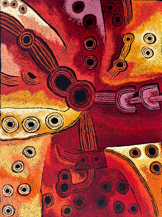 Minma Marlilu Tjukurrpa | PPFA2021-663