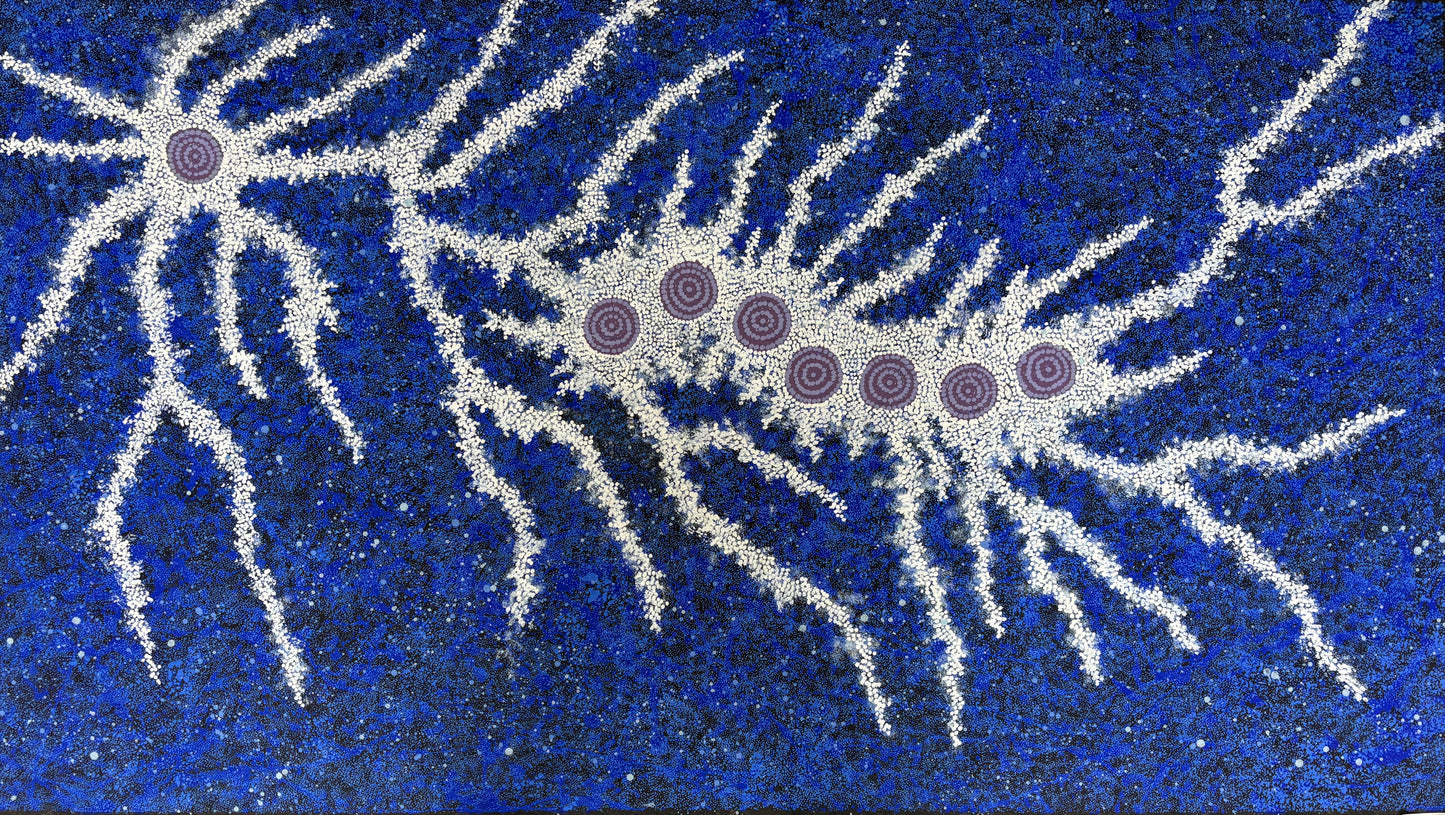 Seven Sisters, Milky Way Dreaming | PPFA2021-729