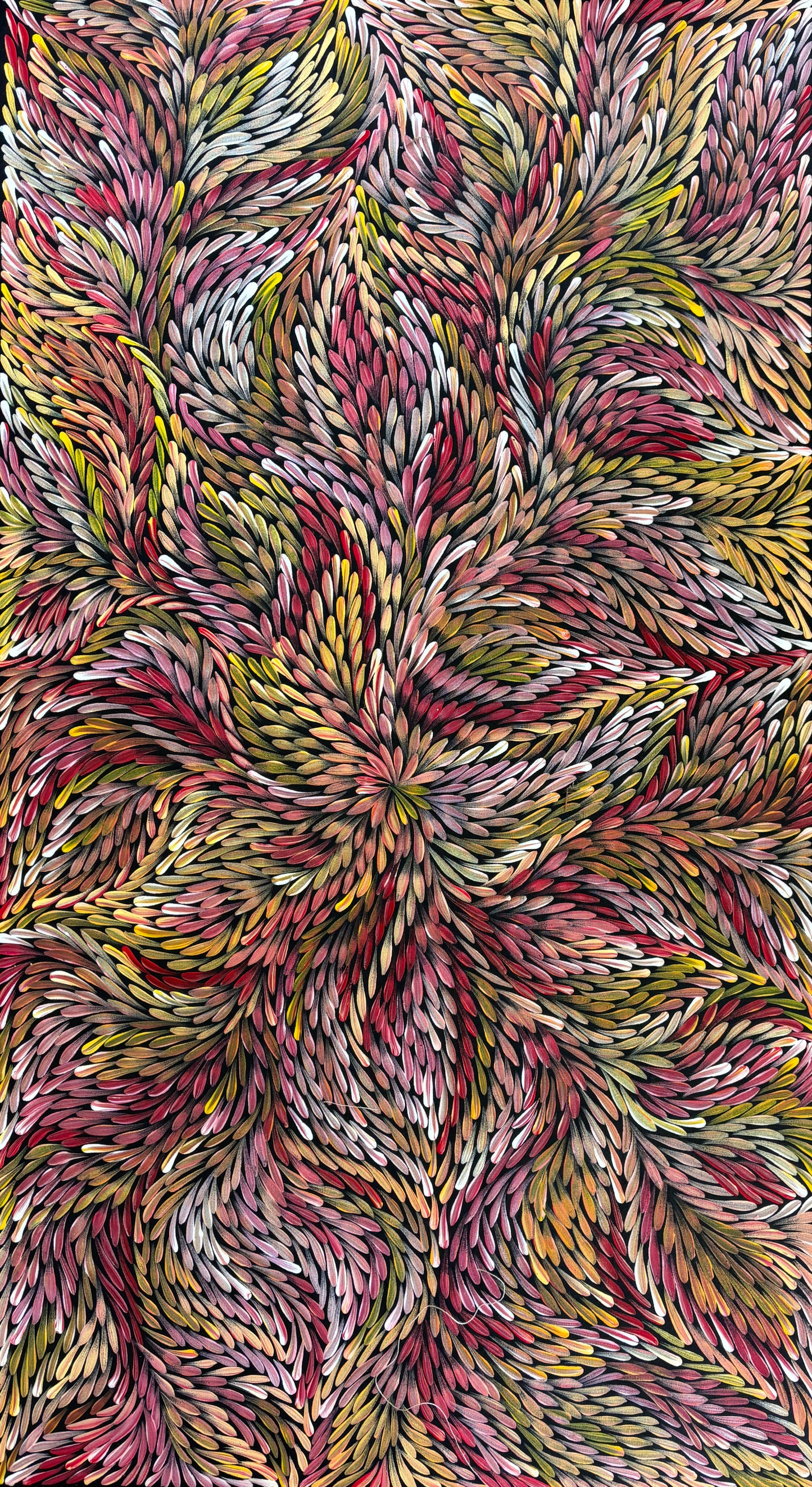 Medicine Leaves | PPFA2024-038