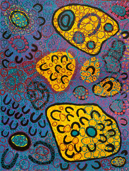 Wilkinkarra (Lake Mackay) | PPFACG-1183