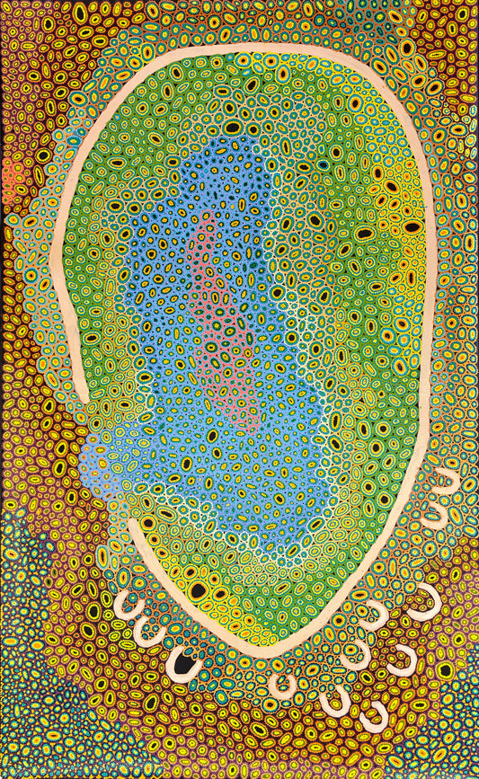 Wilkinkarra ( Lake Mackay) | PPFACG-1185