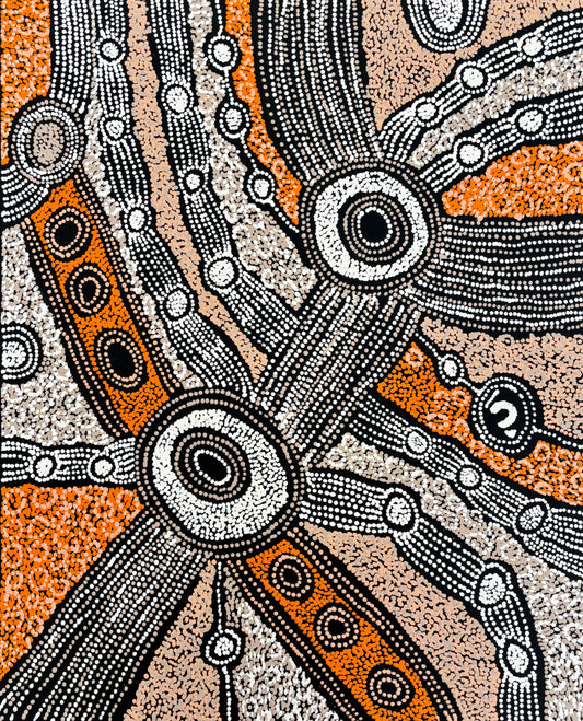 Minma Marlilu Tjukurrpa | PPFACT-1199
