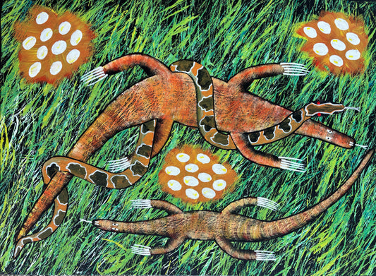Goanna & Python Fighting | RS-422