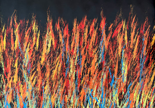 Bushfire Dreaming | RS-454