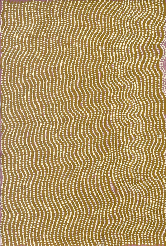 Kiparitjarra | SP-1168