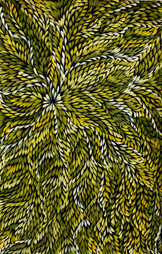 Bush Medicine Leaves | SP-2367
