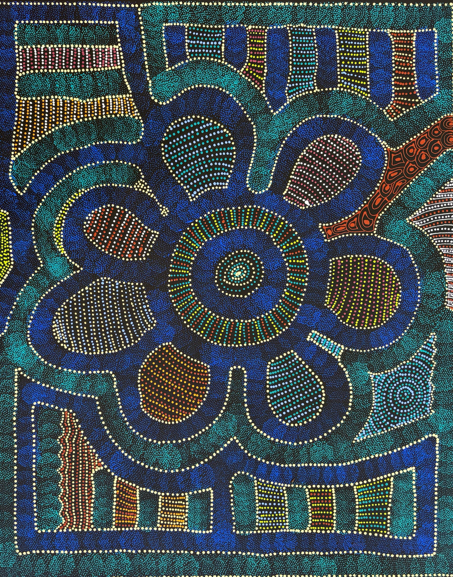 My Country, Thorny Lizard Dreaming | SP-2626