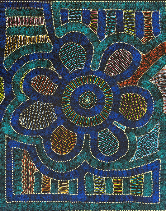 My Country, Thorny Lizard Dreaming | SP-2626