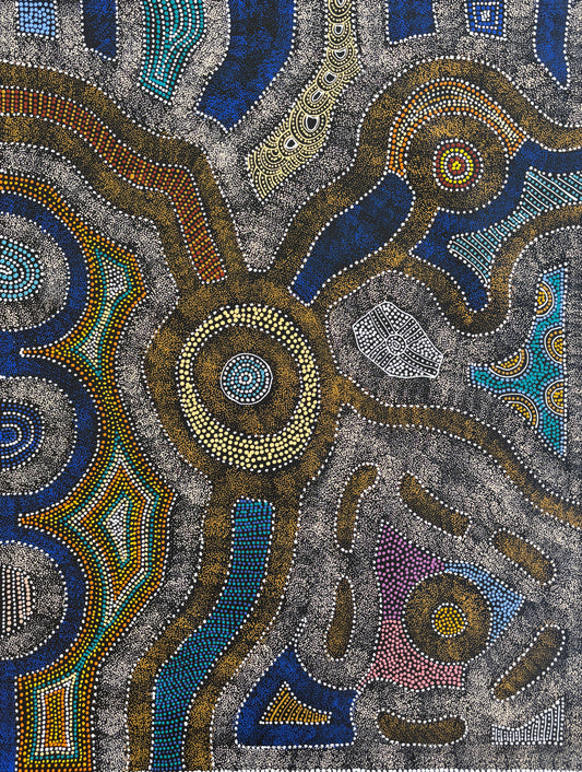 My Country, Thorny Lizard Dreaming | SP-2666