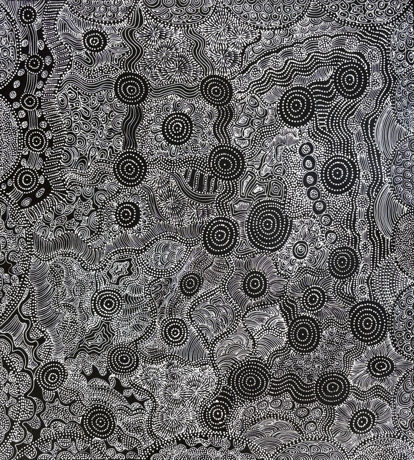 Dry River Beds, Soakage & Desert Plants | SP-2706