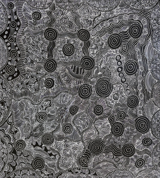 Dry River Beds, Soakage & Desert Plants | SP-2706