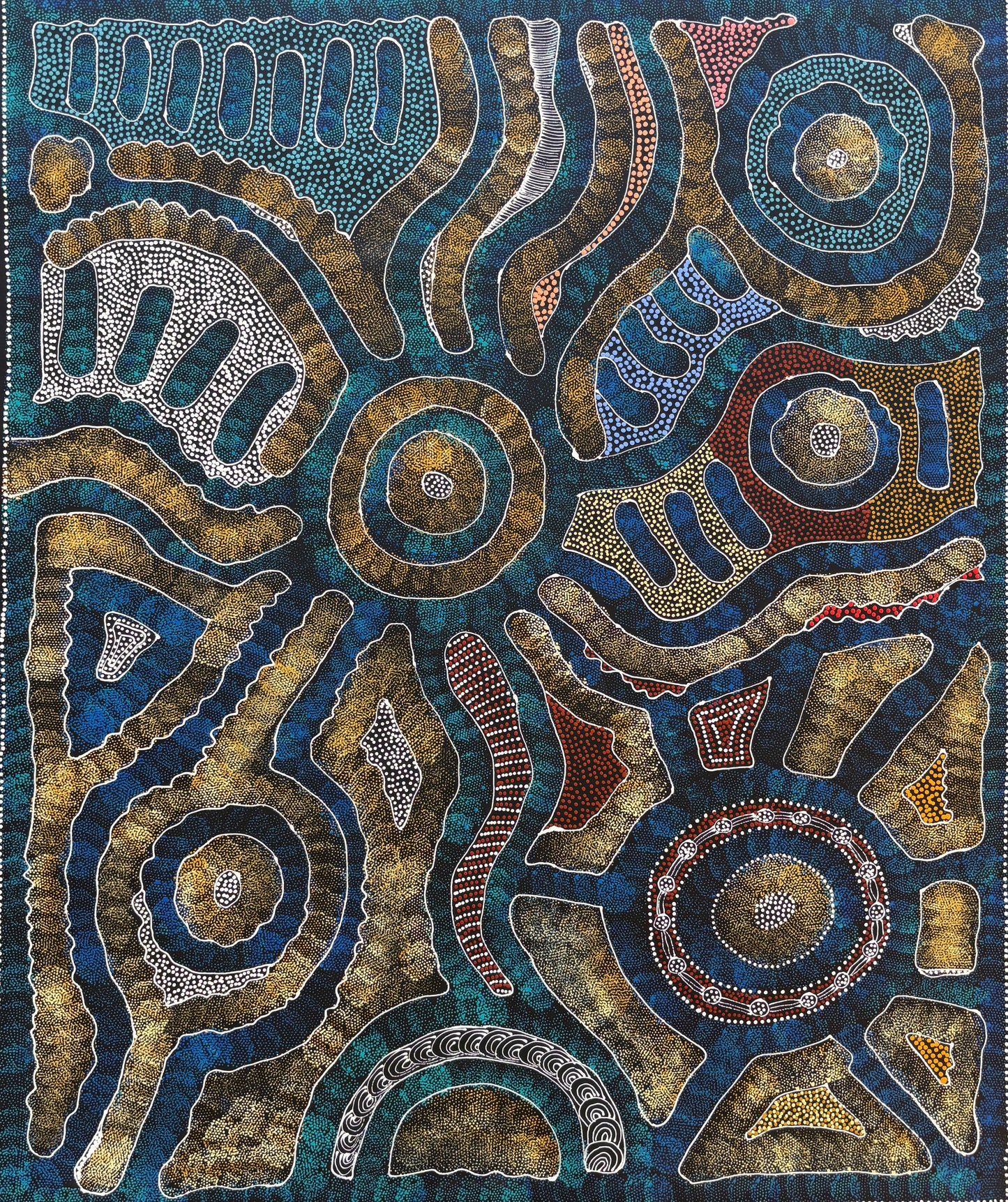 My Country, Thorny Lizard Dreaming | SP-2809