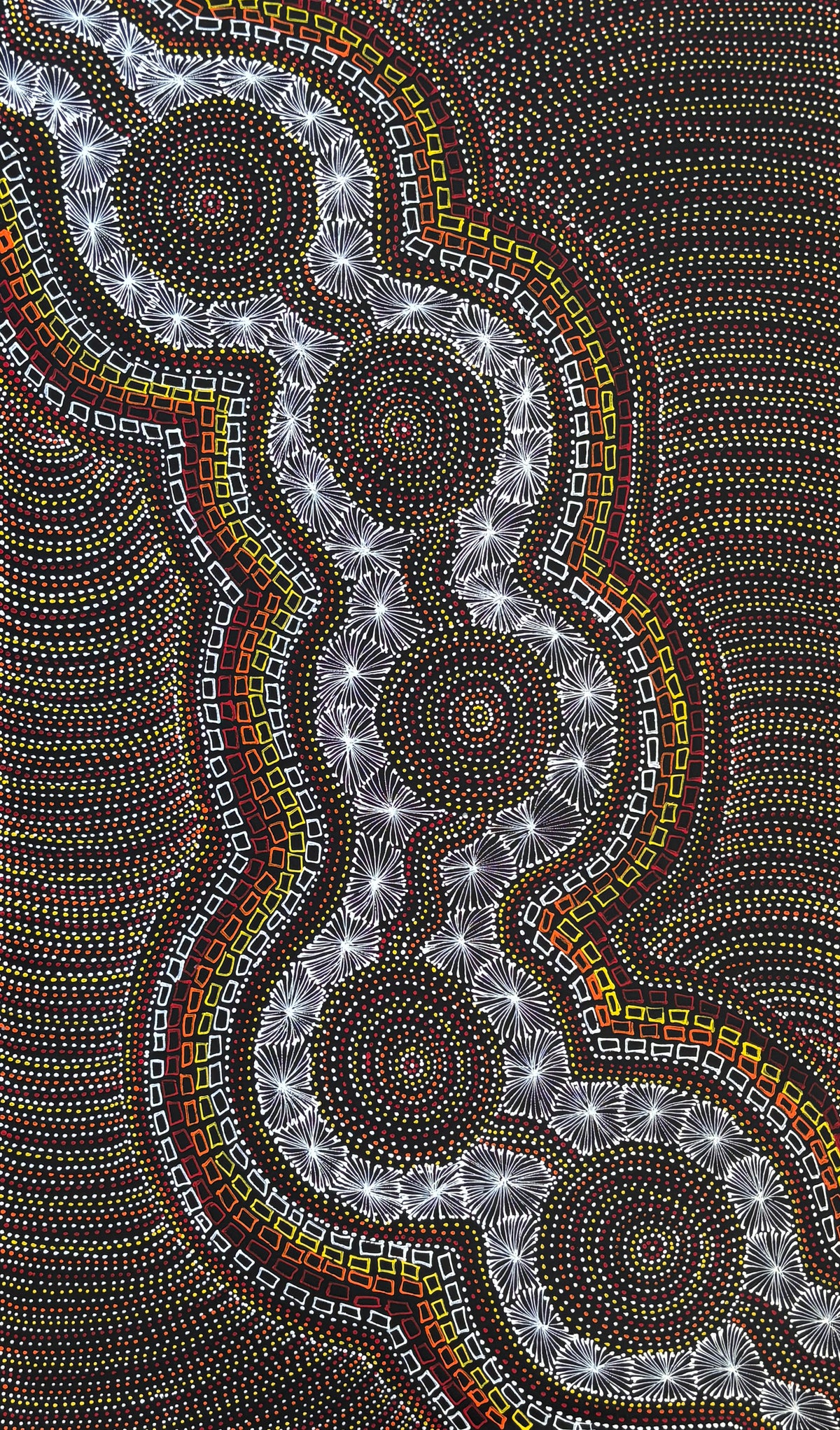 Waterholes, Medicine Leaves & Spinifex Grass | SP-2867